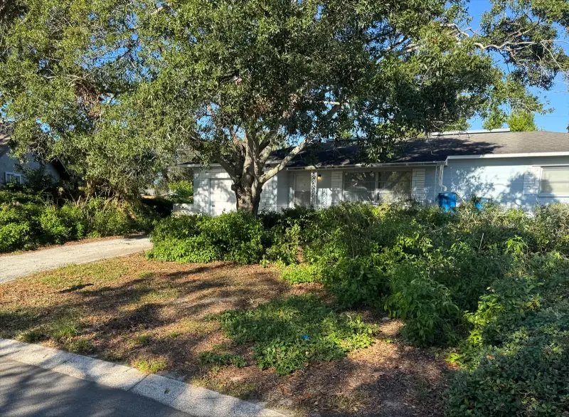 The same front yard after the brush and branches were hauled away